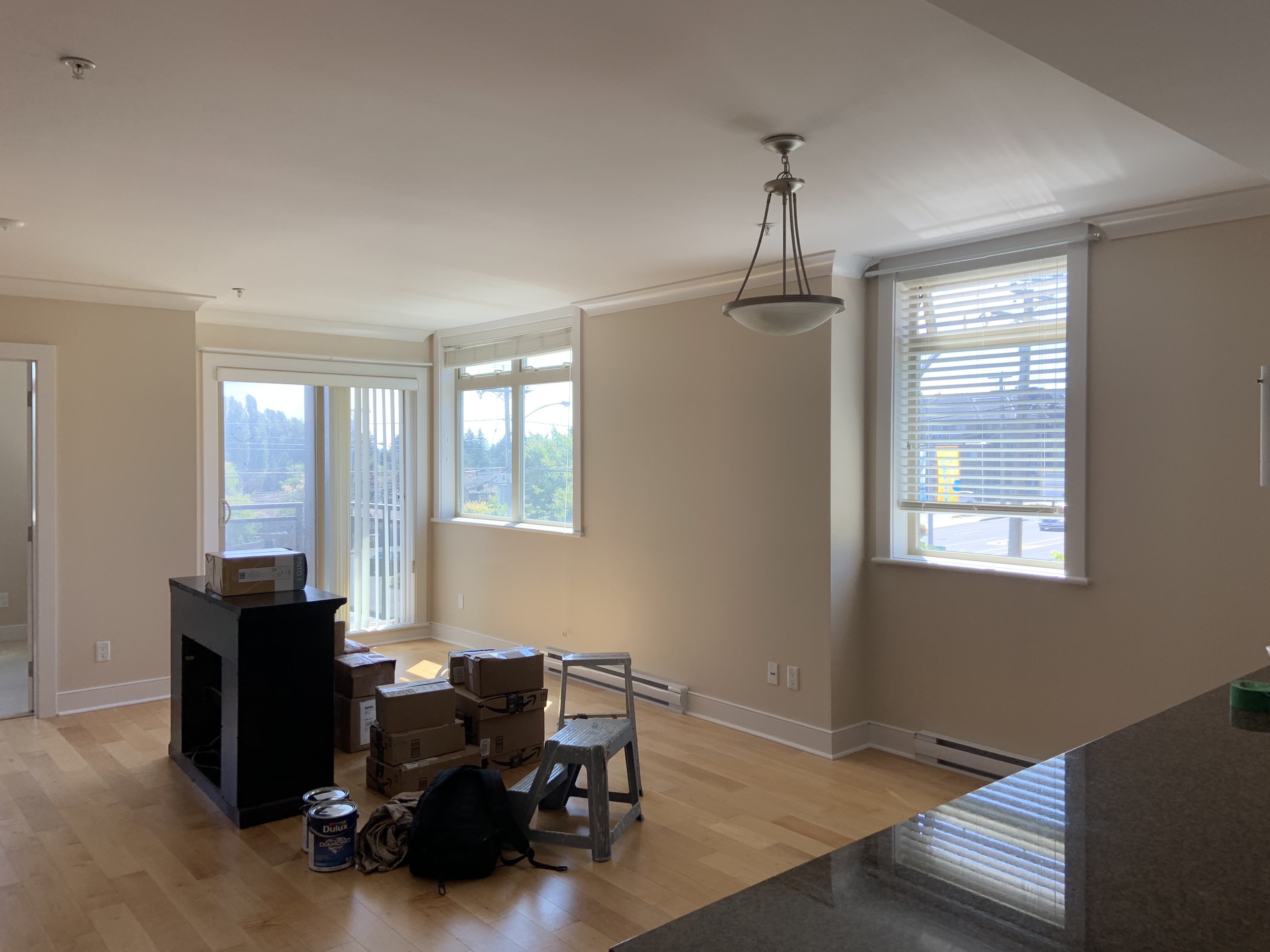 Painting project in Delta, BC (4)