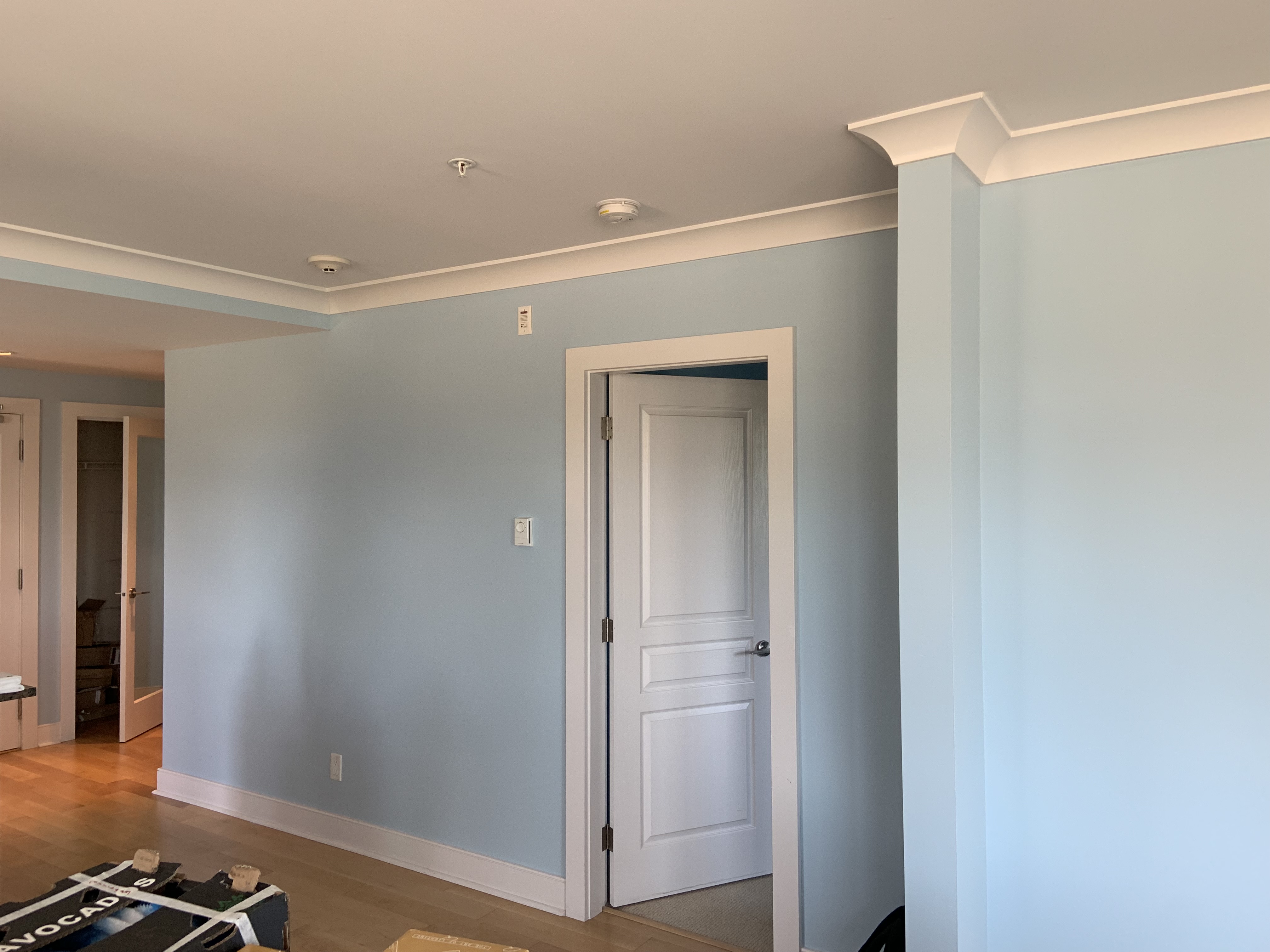Painting project in Delta, BC (5)